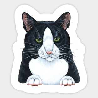 Black and White Cat Sticker